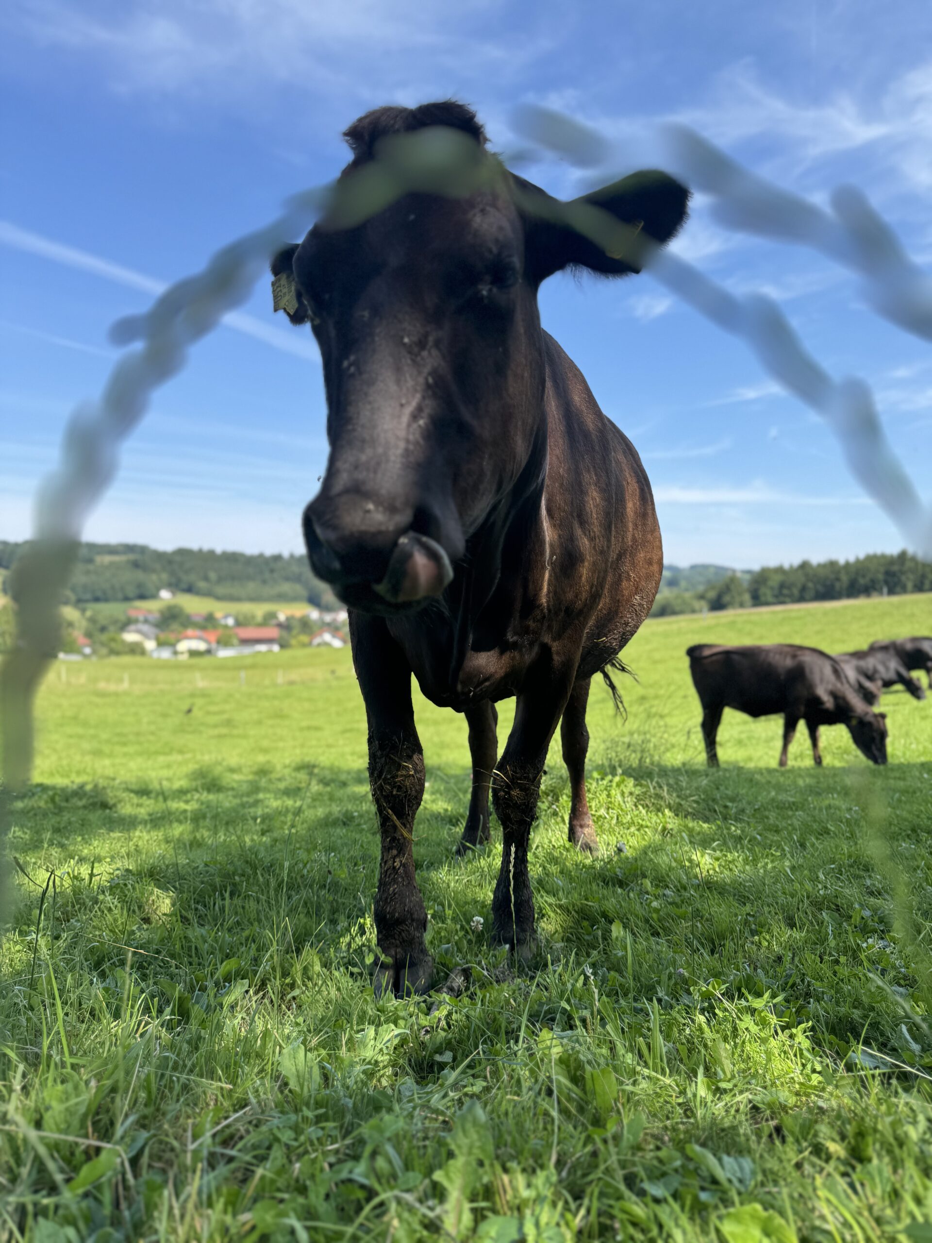 Gesundheit und Nachhaltigkeit