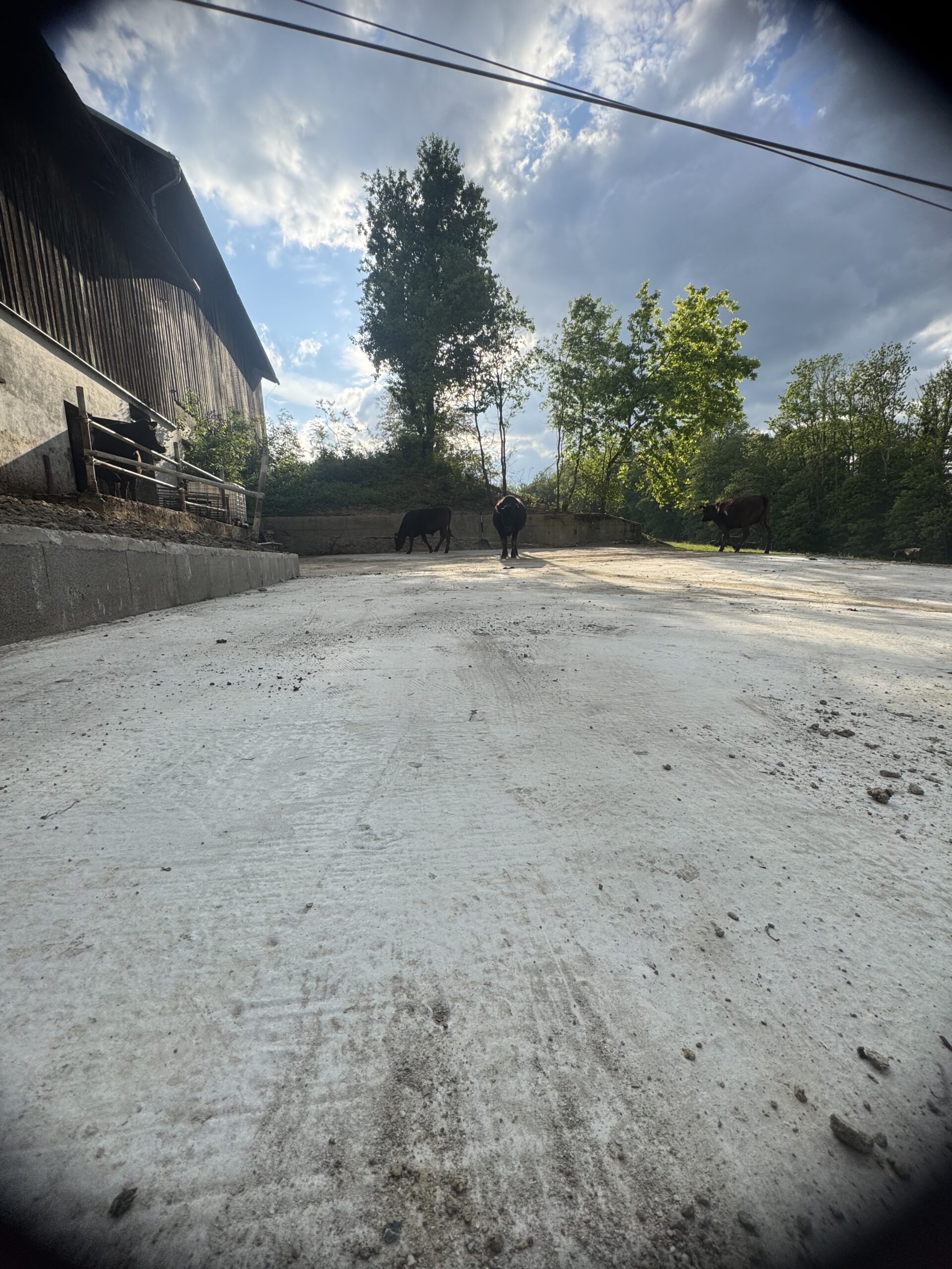 Baustellen-Update auf dem Hof