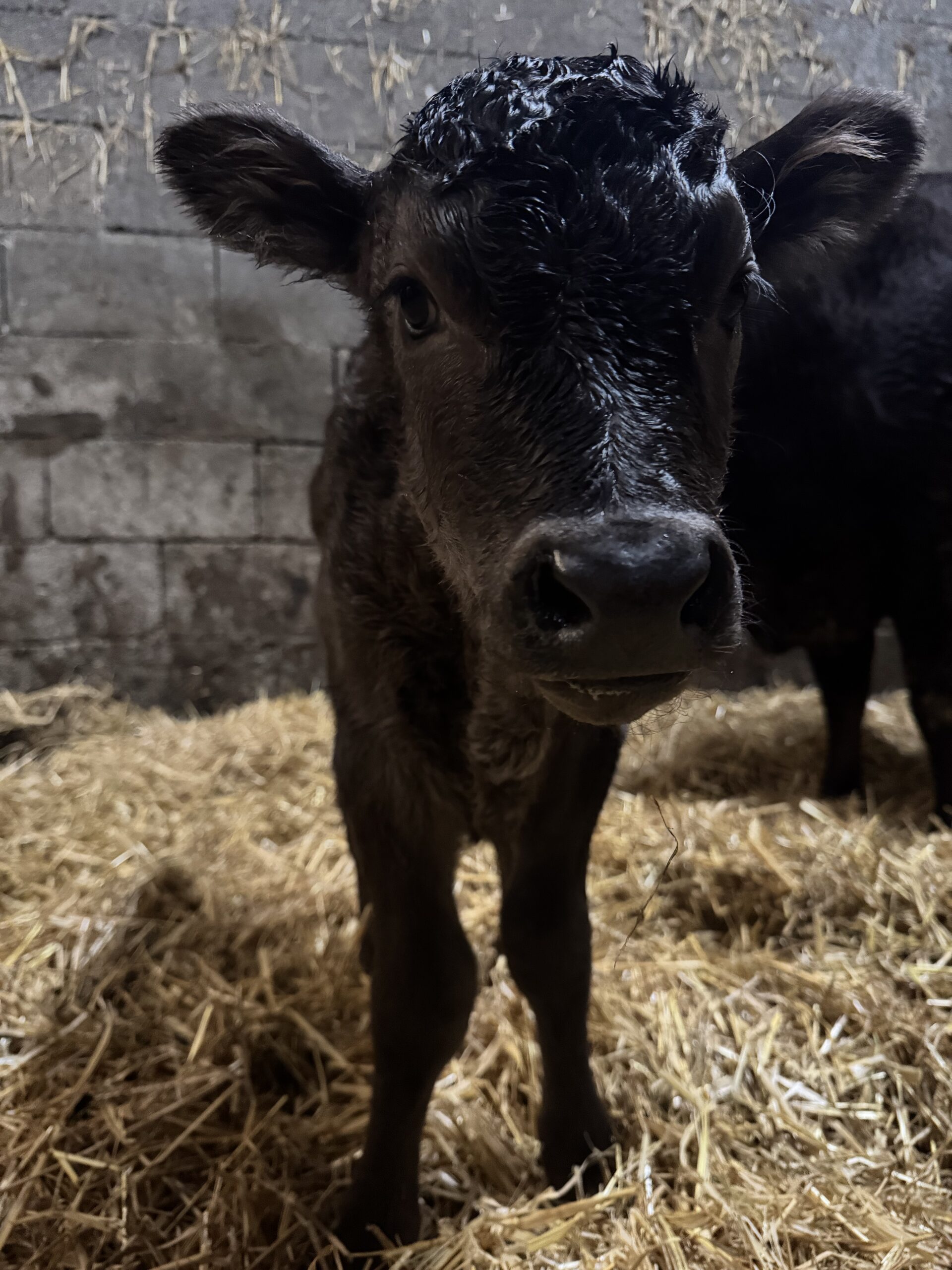 Ein perfekter Start ins neue Jahr ✨